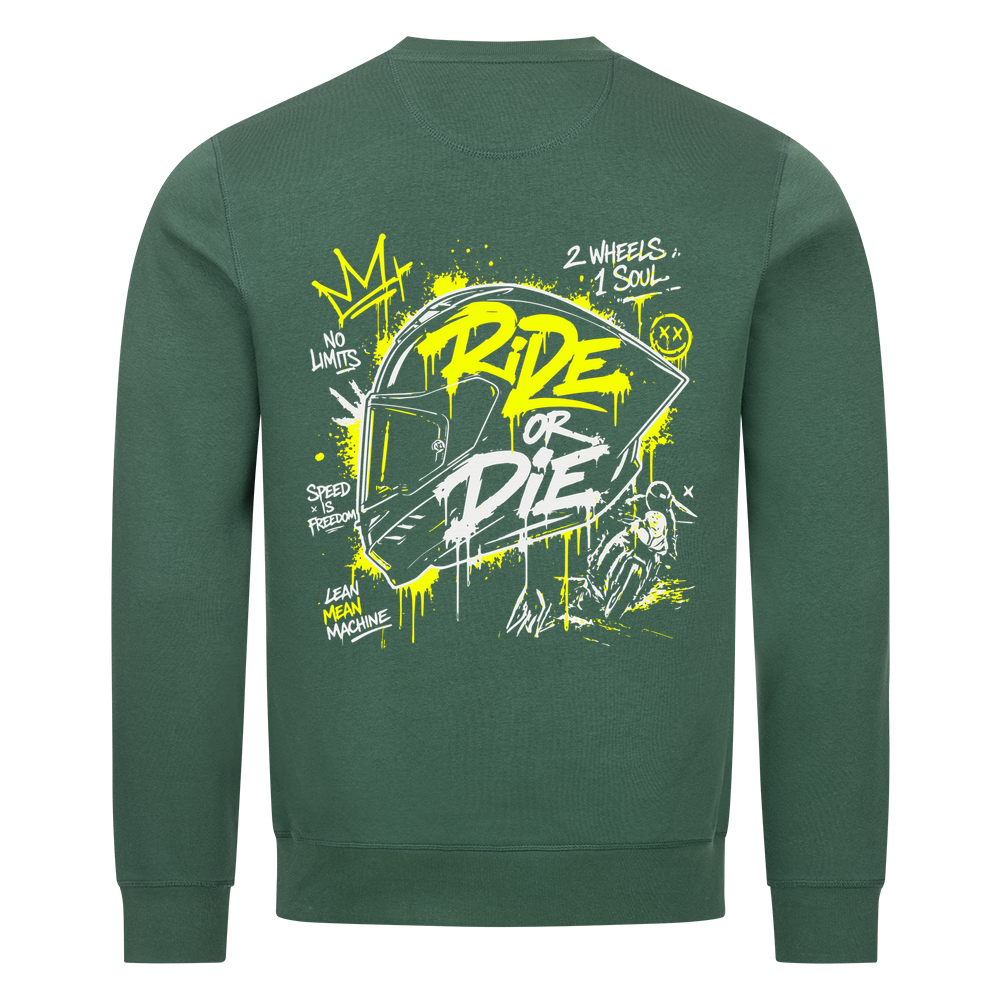 Image for color: varsity green